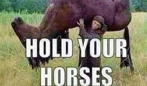 Jeste sigma male??!!