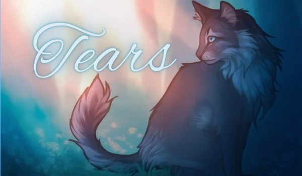 Tears (Storm Fur fanfiction) 1#