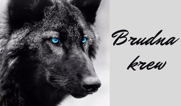 •Brudna Krew• | rozdział 4 | tom I