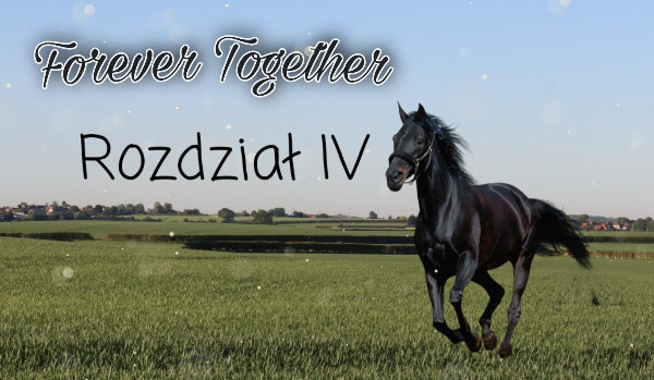 Forever Together — ROZDZIAŁ IV