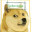 Turbo_doge_