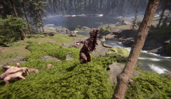 harry potter dla bambusa wojtka