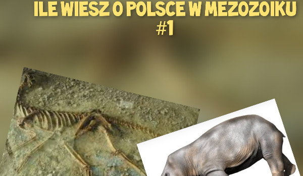 Ile wiesz o terenach Polski w mezozoiku #1