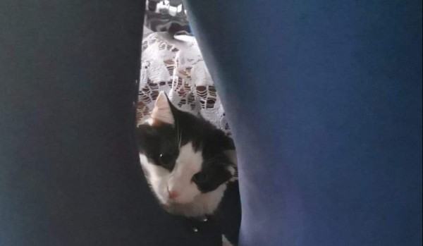 Gacha life(część 4)