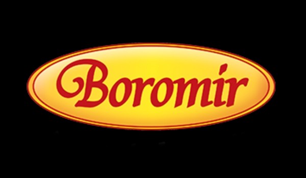 Historia Boromira.