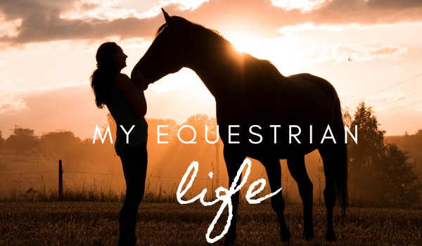 My equestrian life…