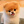 Rose_lix
