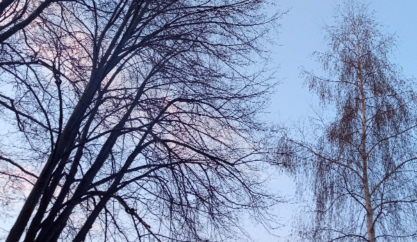 Imię osoby przeznaczonej dla ciebie