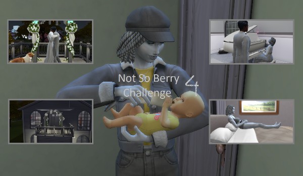 The Sims 4 Not So Berry #56 – Stabilizacja