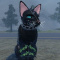 Roxy_Dingo