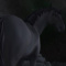 DarkaFoxie