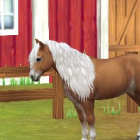 amiga...horse