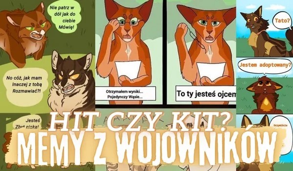 Hit czy Kit – Memy z Wojowników