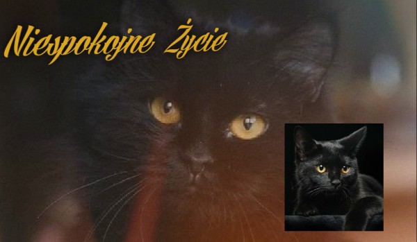 Niespokojne życie #7