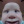 66061_wodahs