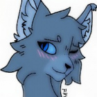 Zapasowe.Konto.Jastrzebi_Szpon