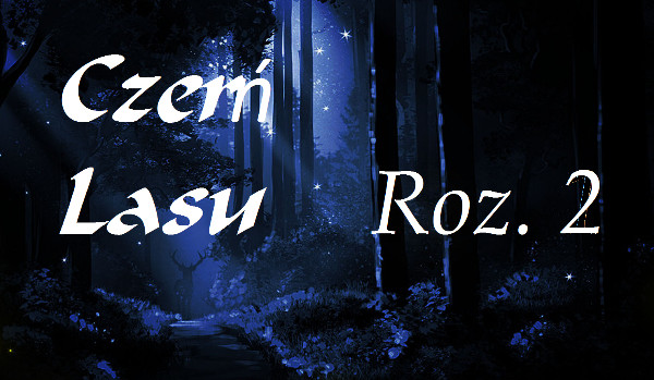 Czerń lasu ~ roz. 2