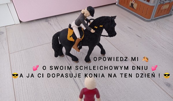 Opowiedz mi o swoim schleichowym dniu a ja ci dopasuje konia na ten dzień !