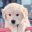 Laura_Quizy12345