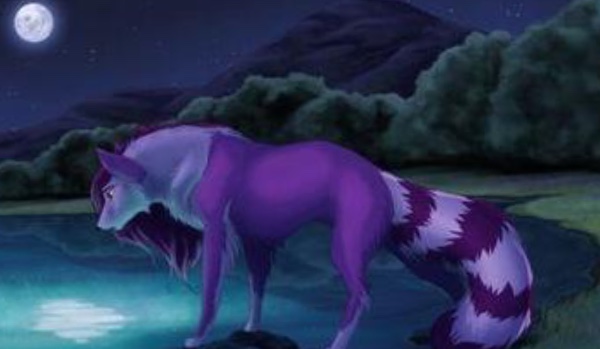 Strażnicy Puszczy — Rozdział 3.