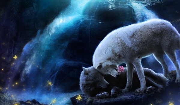 Strażnicy Puszczy — Rozdział 2.