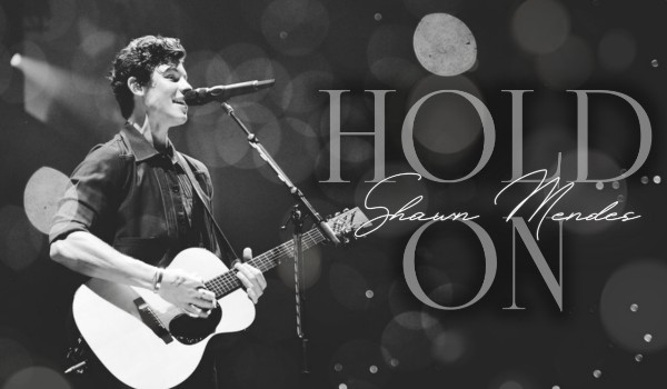 Hold on |Shawn Mendes|
