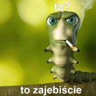 ta_to_fantastycznie