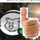 scarflycatfishbecouseyes