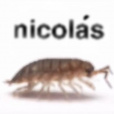 200000005