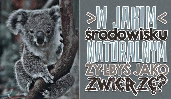 W jakim środowisku naturalnym żyłbyś jako zwierzę?