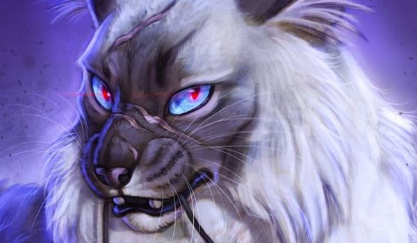 Bright moon (3 – 12)