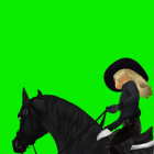 Aria_Zebrafly_HH_sso