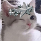 Yuukiii