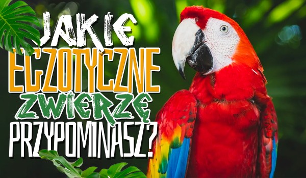 Jakie egzotyczne zwierzę przypominasz?