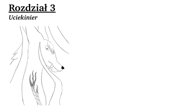 Zyski oraz Straty. — #Rozdział 3.