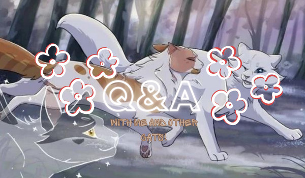 Q&A-pytania od @.Neve.