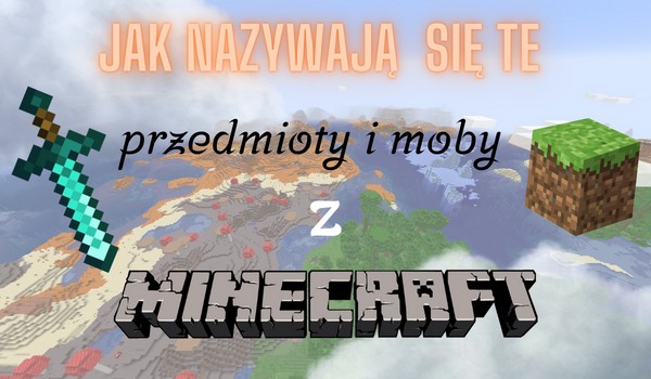 Mega prosty test z Minecrafta
