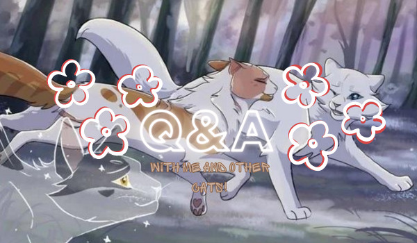 Q&A-pytania od @GradowaBurza