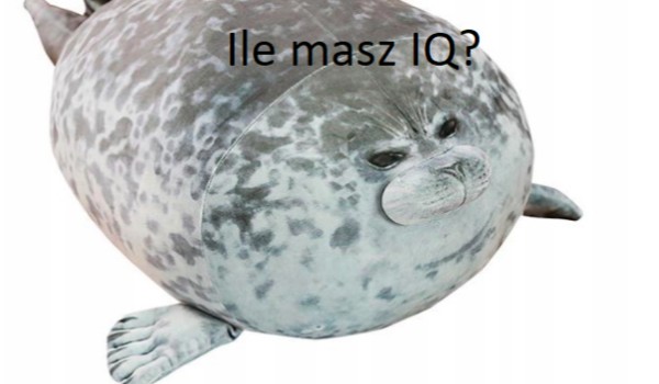 Ile masz IQ?