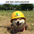 Lechmistrzpolski69