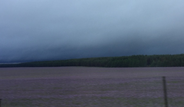 Ocenianie profilu @vanyu