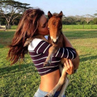Carmel-Pony