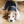 Oliwia.Beagle
