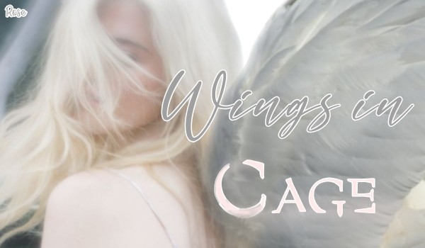 Wings In Cage • One Shot