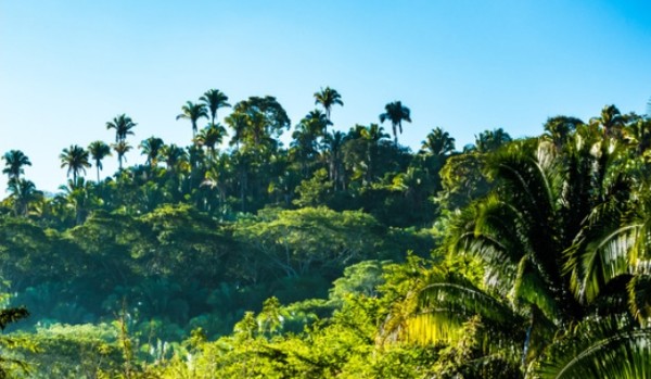 Wywiady z użytkownikami SameQuizy – Tigra123