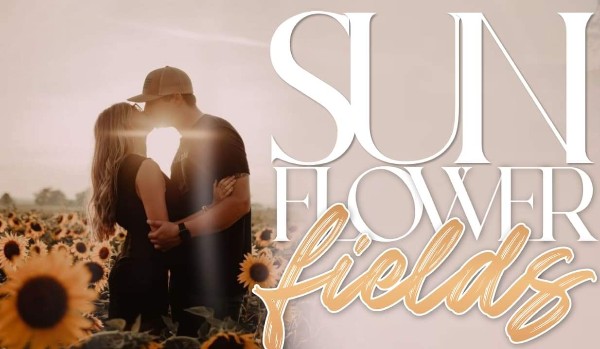 Sunflower Fields — One Shot