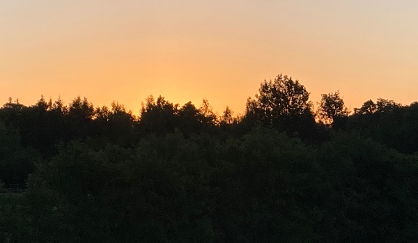 Zostawiłeś mi tylko wschody słońca #3