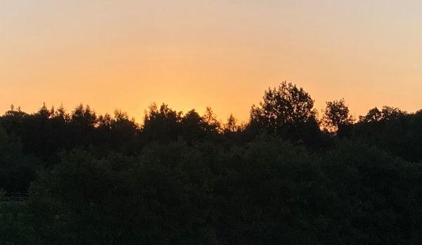 Zostawiłeś mi tylko wschody słońca #2