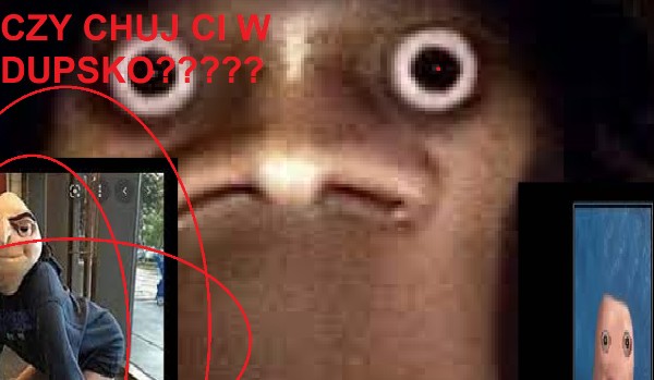 CZY CIUL CI W PUPCIĘĘĘ ?!??!?!?!?!?!?!?