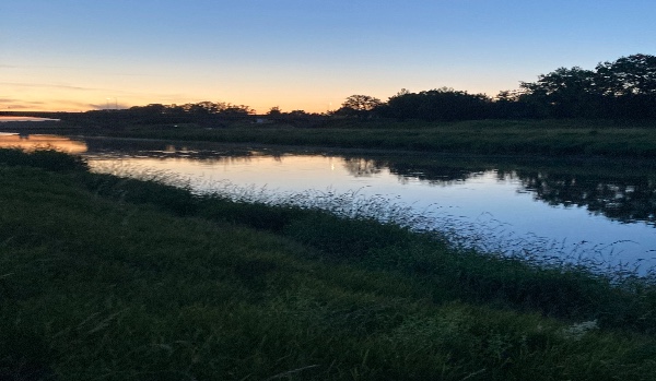 Wraz z prądem rzeki #5